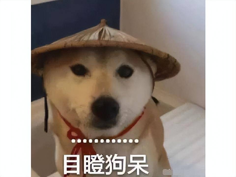 官方低价点卡这么来的?冒险岛台服代理翻车,涉嫌百亿点卡洗钱 官方低价点卡这么来的?冒险岛台服代理翻车,涉嫌百亿点卡洗钱