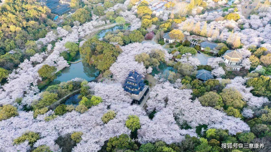 无锡园林式旅居3天2晚339一人包吃住，毗邻太湖度假区