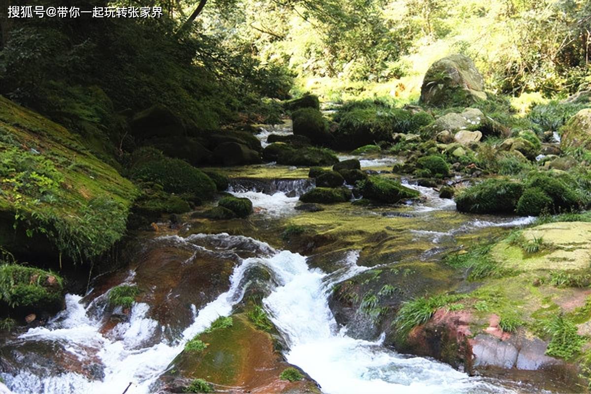 向往的人间仙境张家界凤凰古城5日游超全旅游攻略笔记