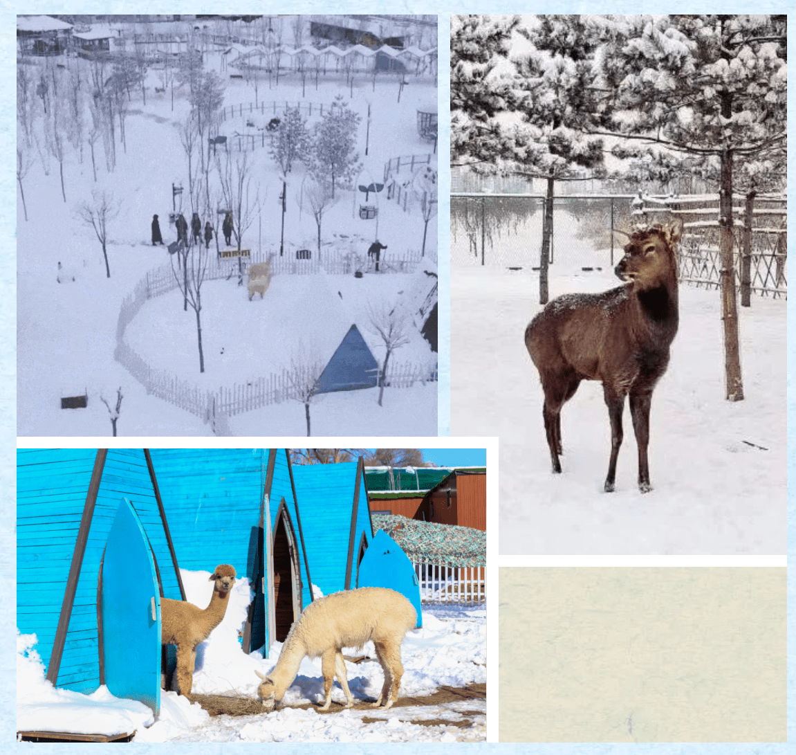 河北旅游：雪中泡泉、沉浸式SPA、华中小镇赏雪游玩度假全攻略