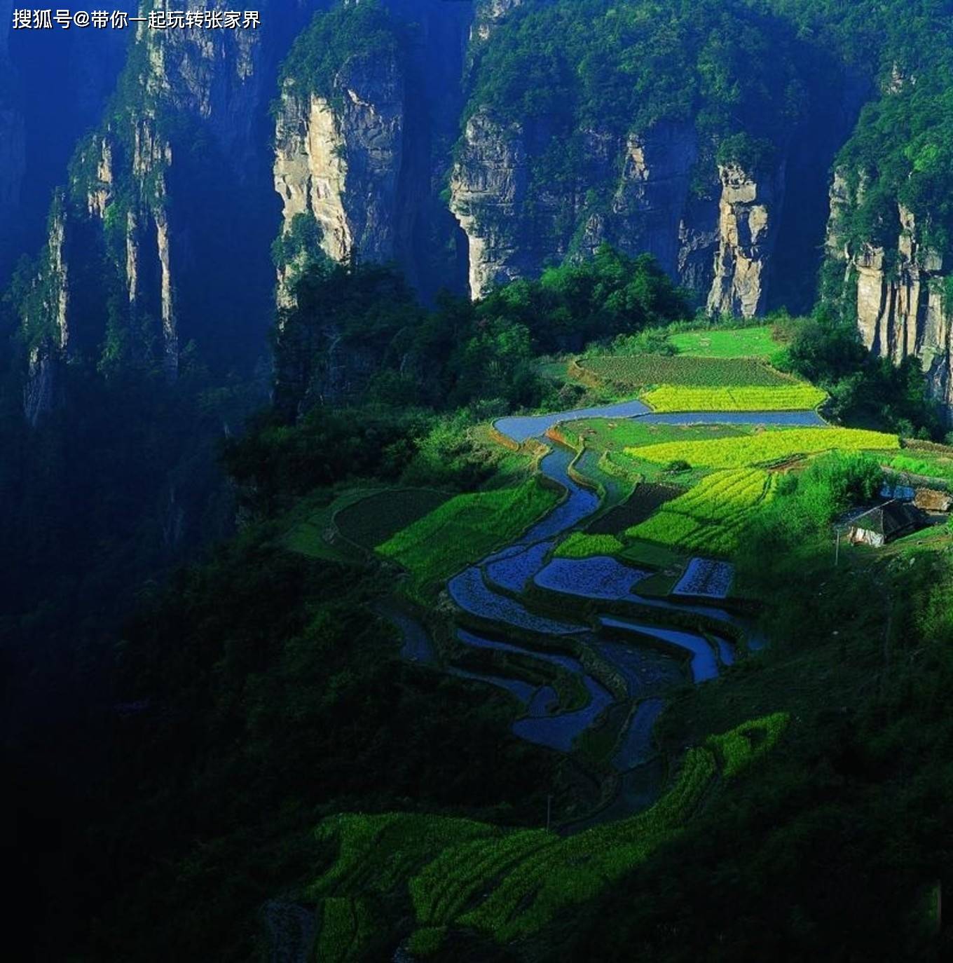 张家界一般玩几天合适呢？是旅游跟团还是自由行好？张家界5日游