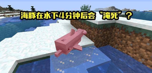 0c2c0273627d49fc925ce1069f031525.jpeg