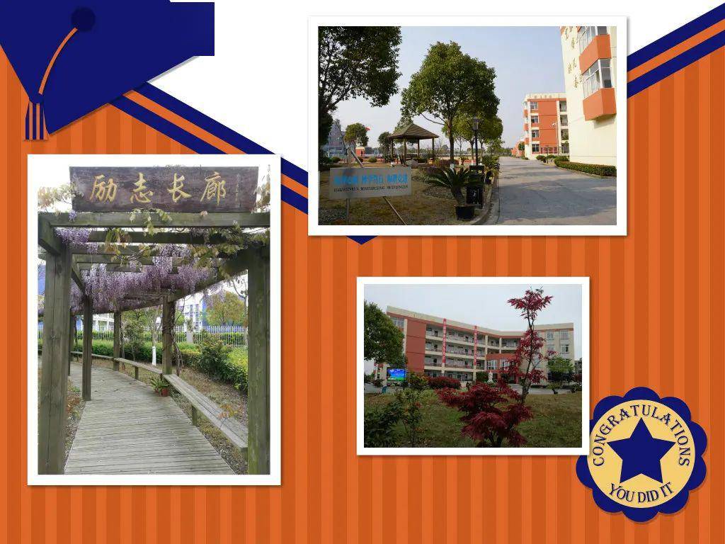 2020年六年级上册期_第412期上海市临港第一中学2020年秋季六年级新生入