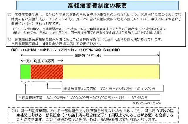 日本总人口多少亿人2021_日本埃尔法有多少版本