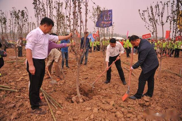 西平gdp_西平县的经济概况(3)