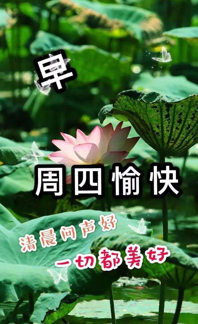 5月15日周五群发早上好问候祝福动态表情图片 5月最美