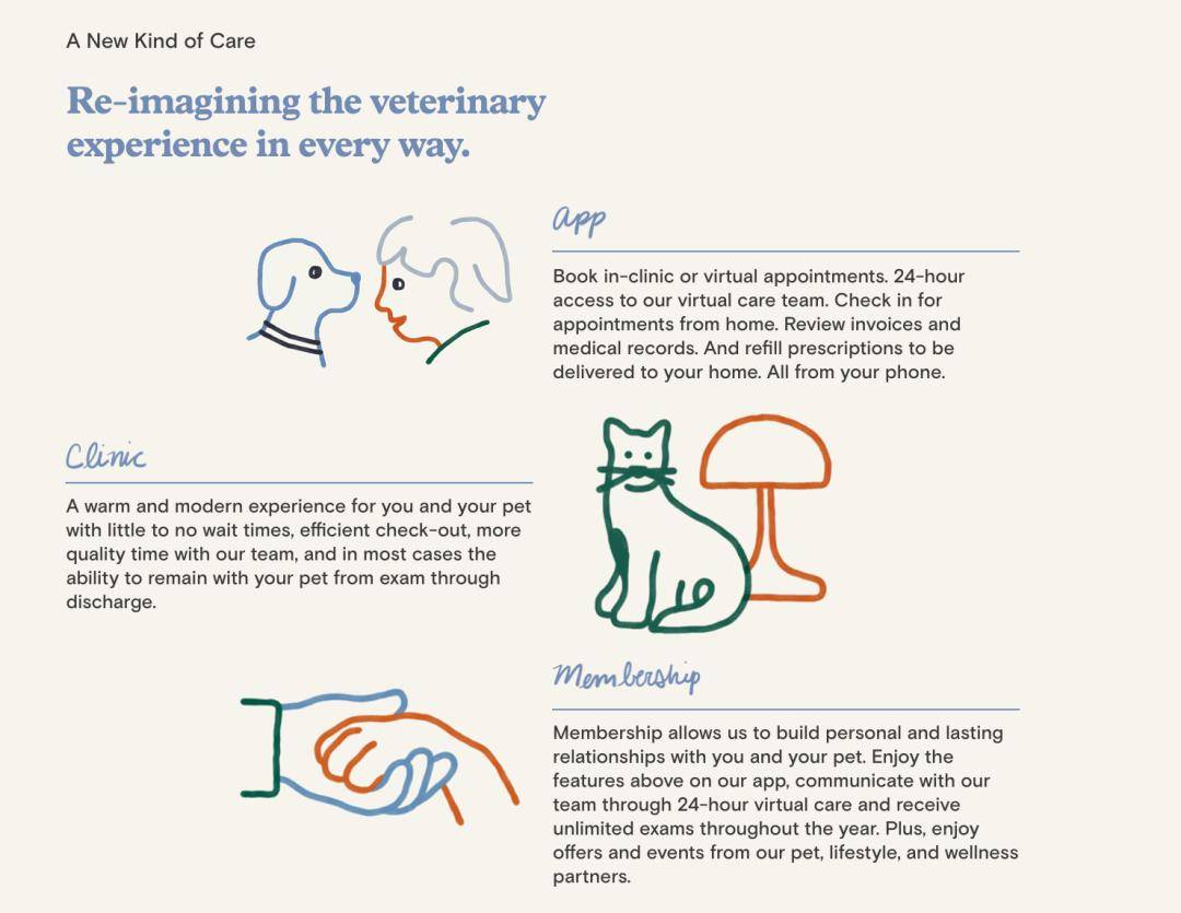  Unveiling Signs from the Afterlife Pets: How Our Beloved Animals Communicate from Beyond