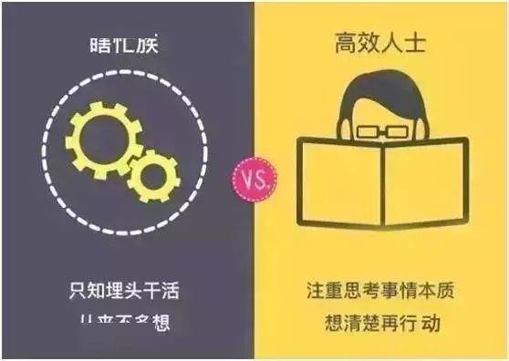 b65b427ba8c54c22ae4483838a8cdcbe.jpeg