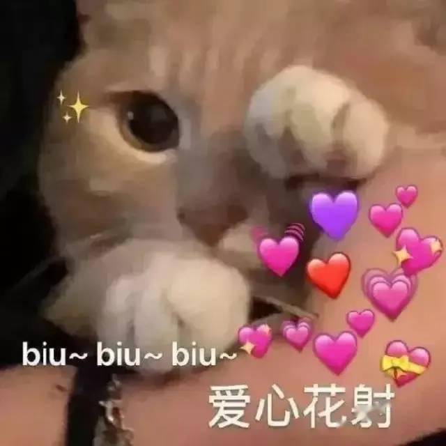 52a026af4c324ff6b07eceb0762a1908.jpeg