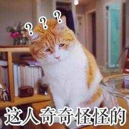 84994f0ef1de4660882195d567d2f35b.jpeg