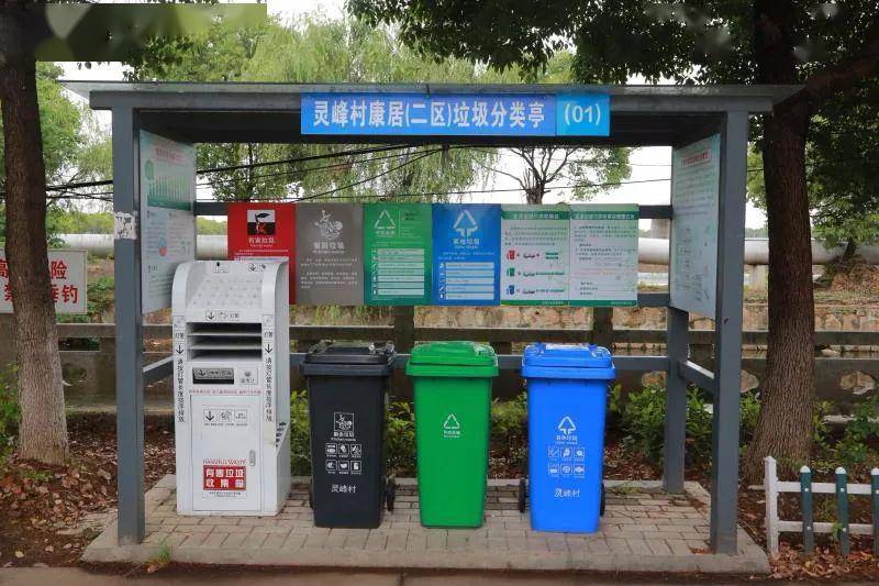 农户家庭垃圾分类桶配置100%全覆盖