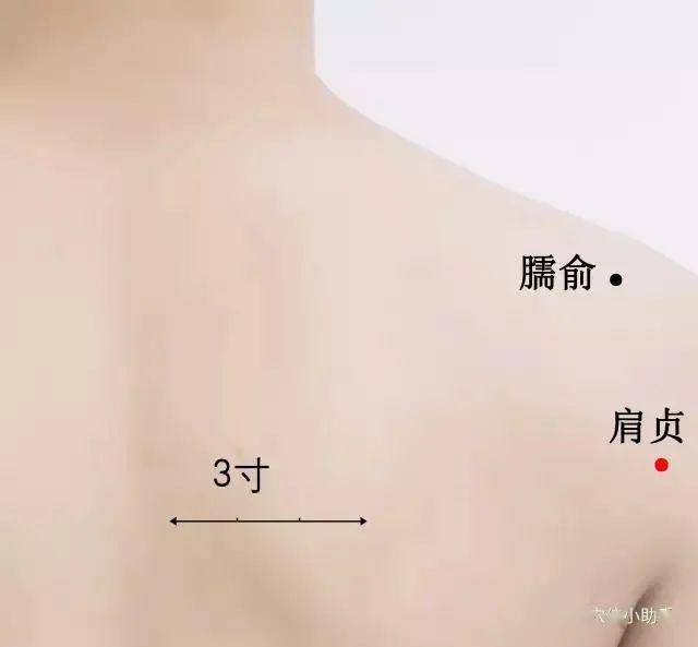 【艾养身】后背"三关"难过,颈椎病,肩周炎,老寒腿如何改善?