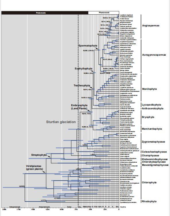认知能力和思维能力下降 3680fb550ff3458bb34c2c9b31cdf623.jpeg