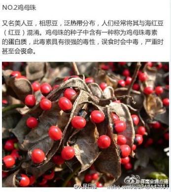 #孩子#一人陷入昏迷！原因让人后怕警惕！4个男孩路边呕吐