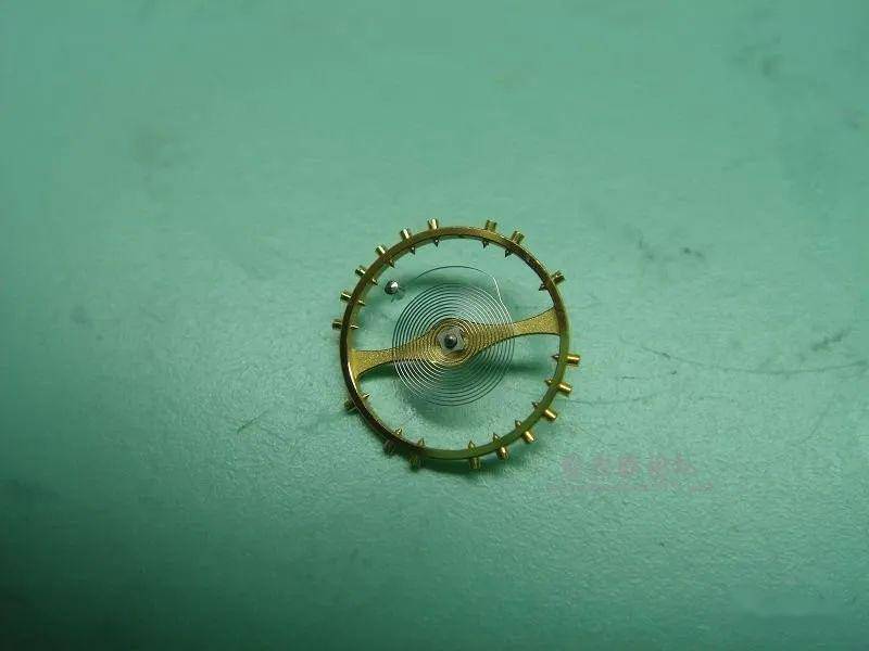 ����һֻ���޵Ļ���С���뷵ת