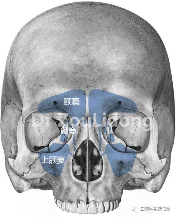 邹立东博士上颌窦外提升植骨的成功要素1