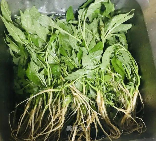 2. 带根的苋菜需要洗两遍摘取嫩的部分,再洗两遍.