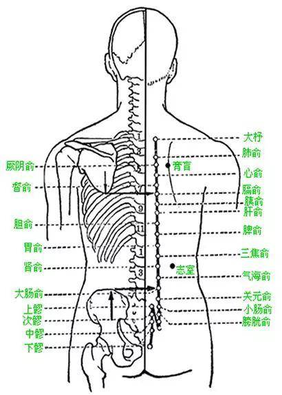 收藏好!十种常见病的穴位按摩调理方法!