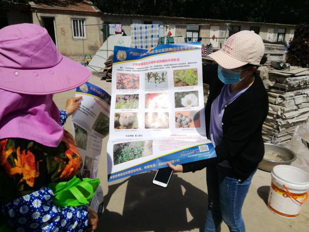 榆垡镇积极开展禁种铲毒宣传活动