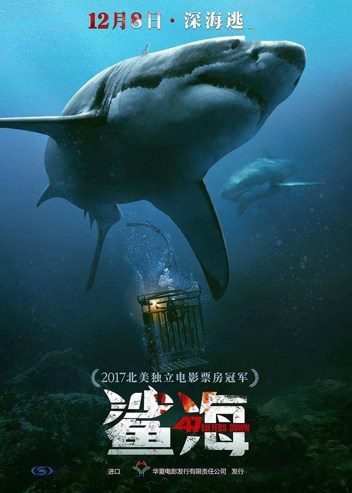 在看过这部电影的点映场后,只想说,这可能是近些年与鲨鱼有关的惊悚