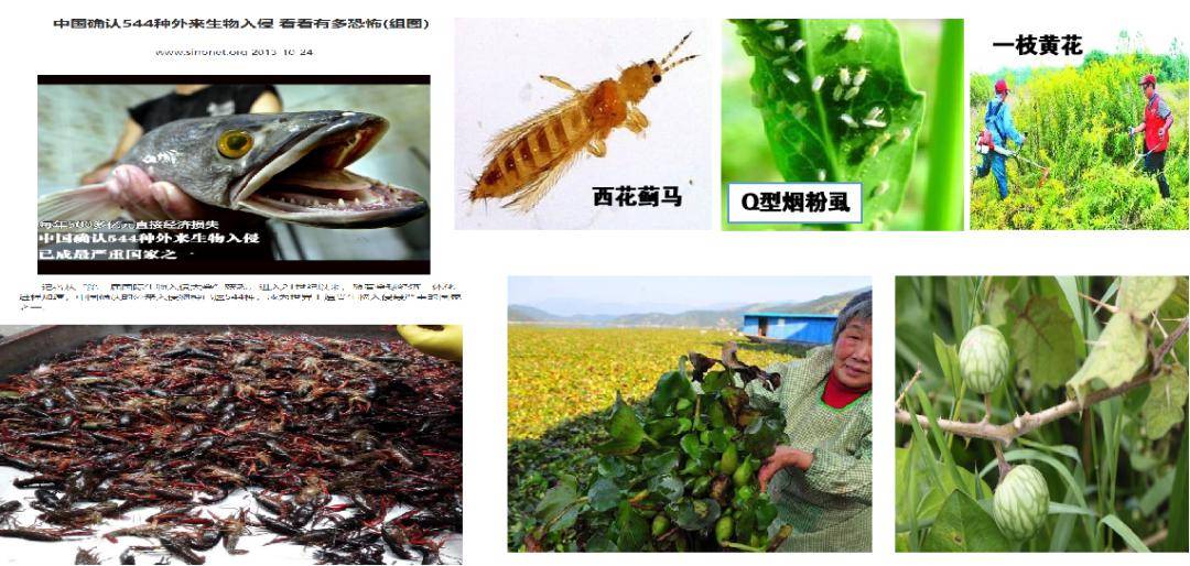 国防教育栏目｜我国面临什么样的生物安全形势