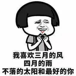 土味告白表情包集锦,给你520的表白助攻!
