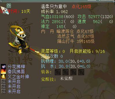 大话西游2新区第一只浪淘沙被秒,土豪半夜打造成品技能