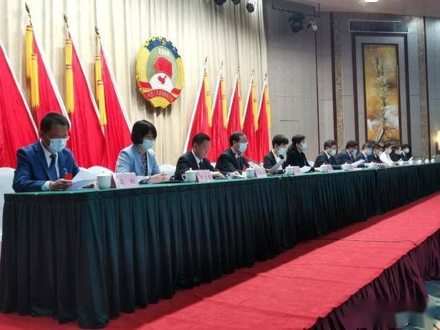 刚刚!政协第九届临沭县委员会第四次会议选举武玉芹为政协主席