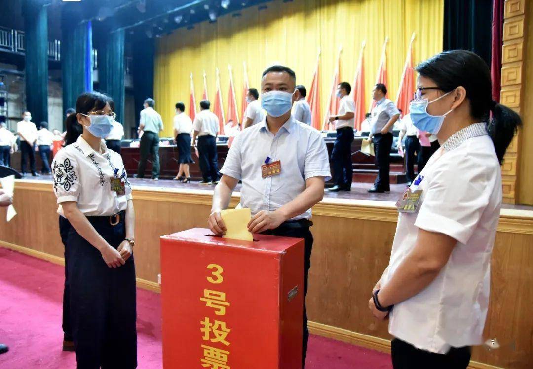 刚刚,宜州法院院长定了!这些人补选为宜州区第一届人大常委会委员