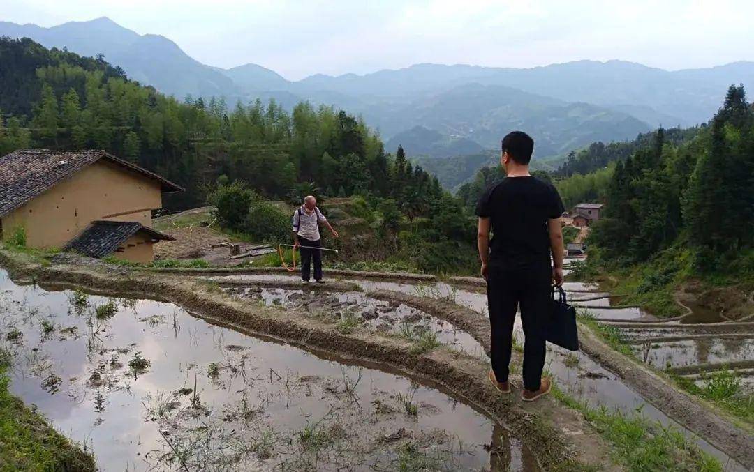 炎陵人口_炎陵黄桃(3)
