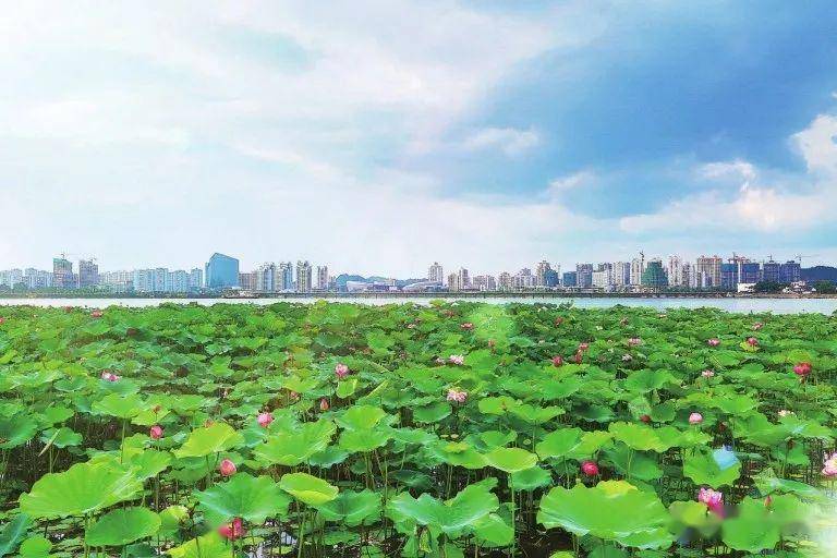 遂潼涪江新区空间战略规划初步方案出炉 遂潼一体化样板区将这样建