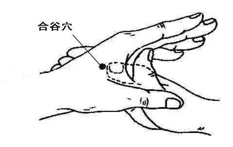 人体气血的开关记住合谷和太冲