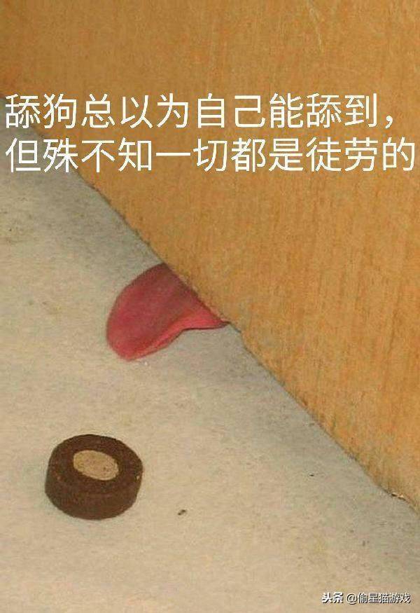 40eaf389537f4c1183e5919f00b83f13.jpeg