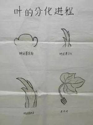 抽枝什么成语_成语故事图片(3)
