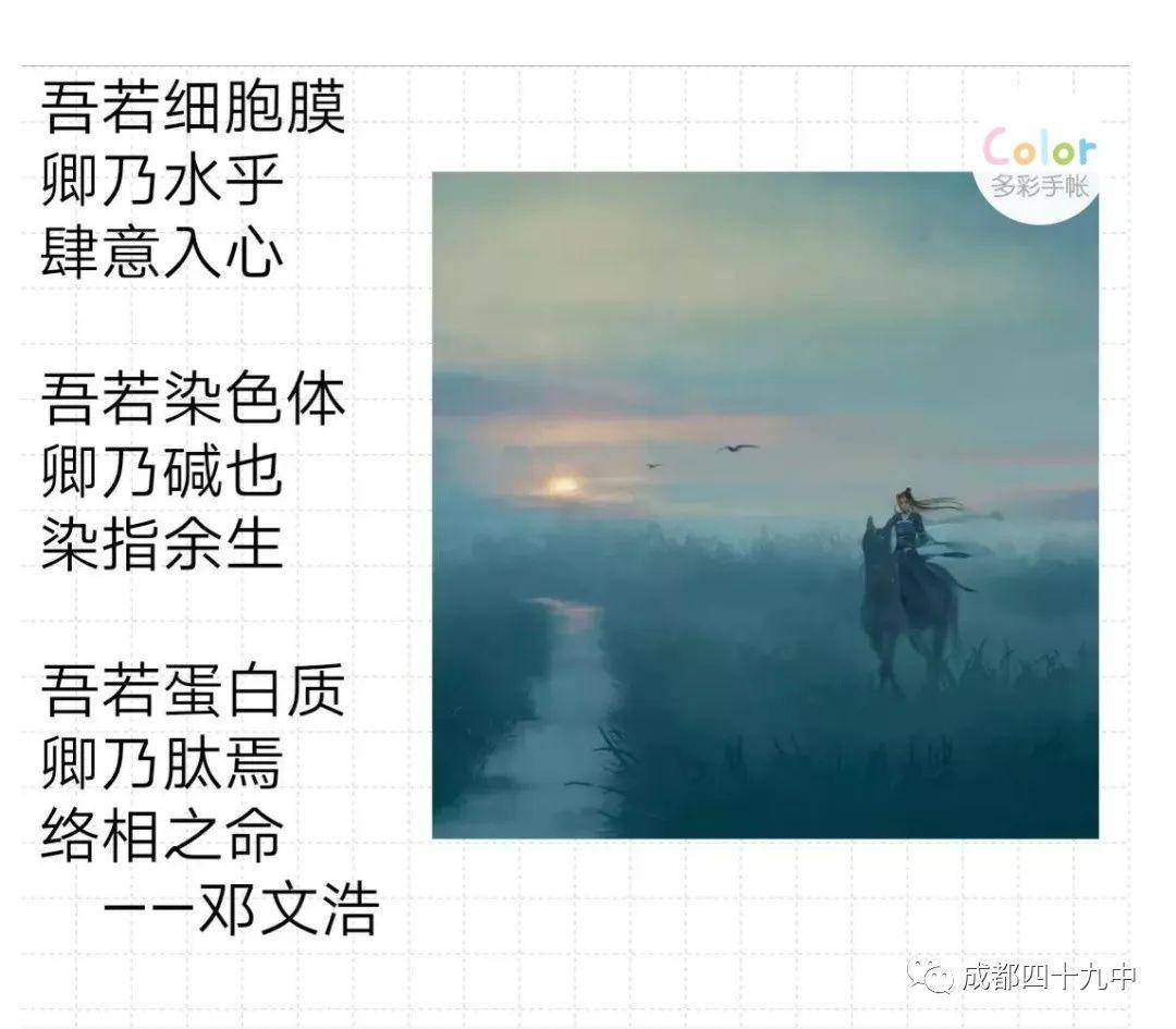 95ecff7a79c24bcf925580cbcbeec923.jpeg