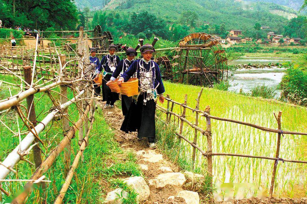 文山州人口经济总量_文山州地图