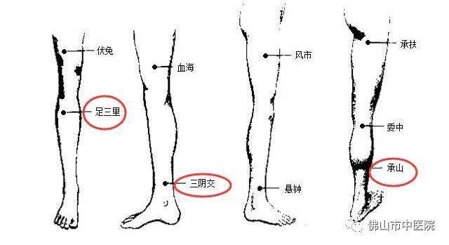 按什么穴位缓解情绪 ca36a4a77cb548f5908fcfed706078ee.jpeg