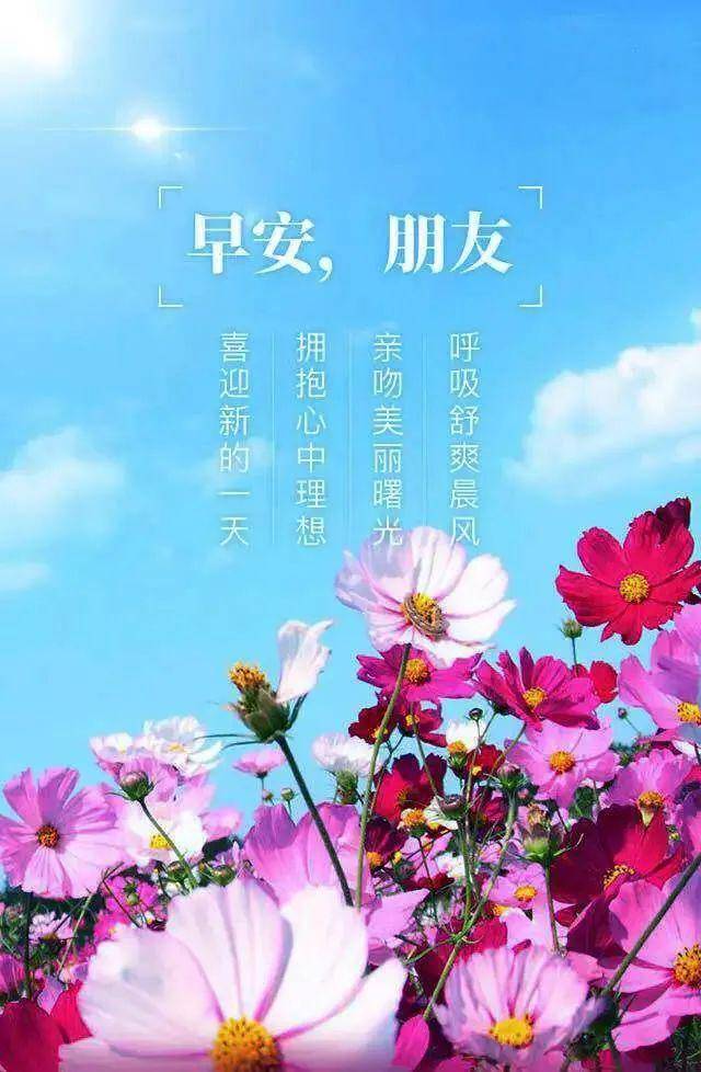 腾辉传媒早安心语|微笑拥抱每一天