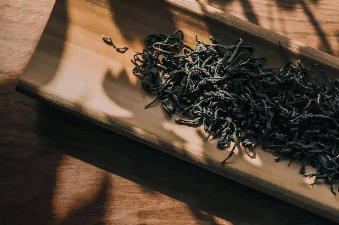 听茶| 九曲红梅,最具民国范儿的红茶