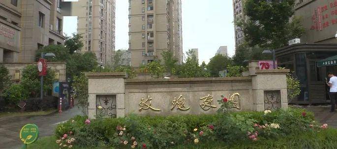 玫瑰都市人口_首尔都市圈人口