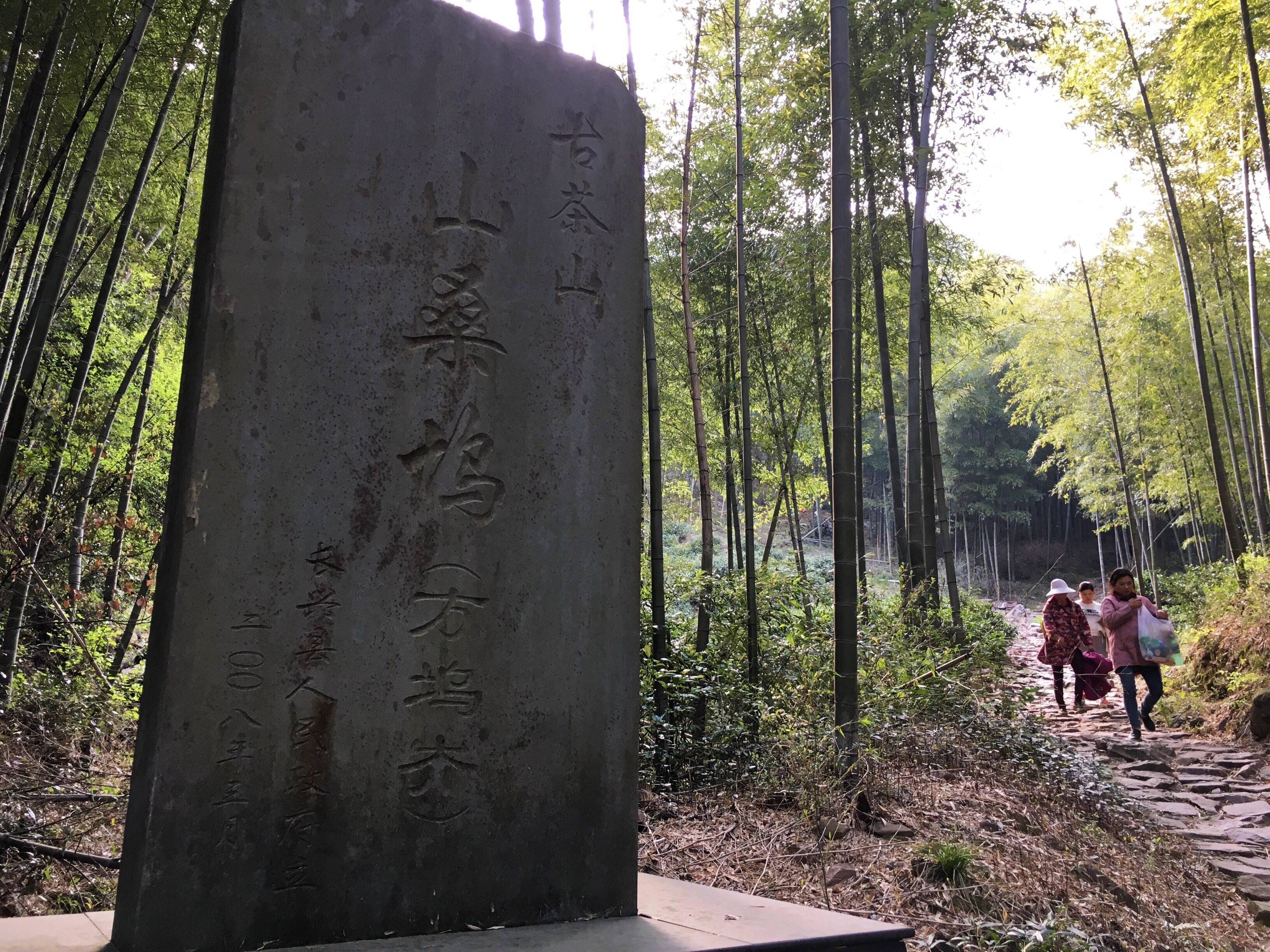 国际茶日,了解一下顾渚山的唐代贡茶_顾渚紫