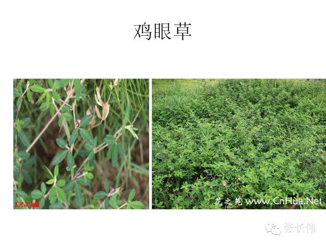 8ff31ffca13c431b9b39a7808bb0ea45.jpeg