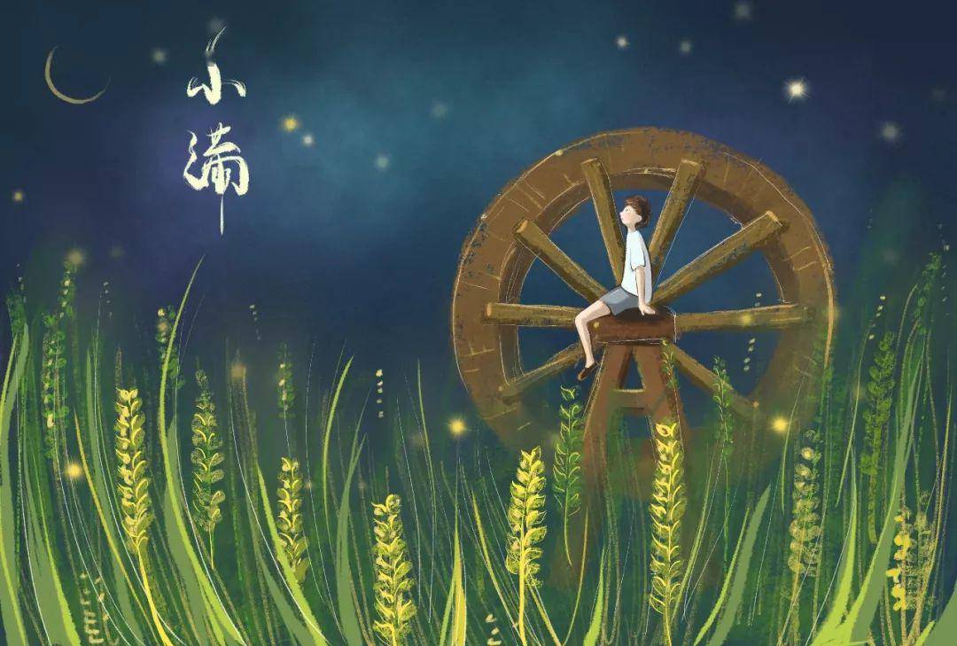 节气丨小满,小小的充实,淡淡的满足!