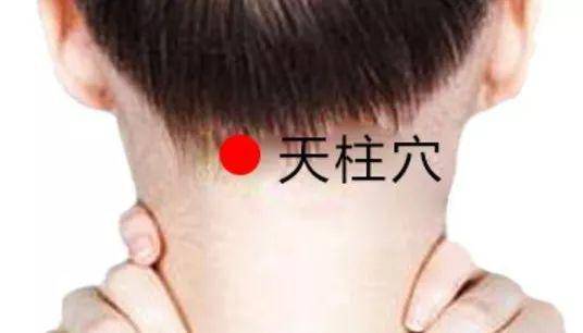 2,颈夹脊