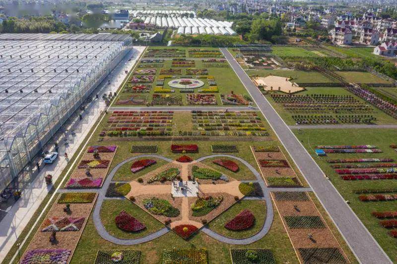 "迎花博 展花梦"——2020上海崇明国际新优花卉展在源