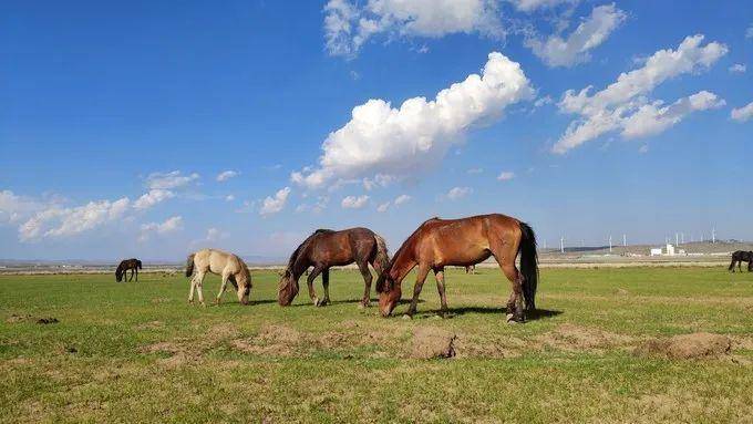 火山·沙漠·草原-深度体验内蒙古|6月25日-27日
