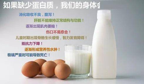 优质蛋白质是什么 112536315fbf4c92b1e088d4b2ab4e61.jpeg