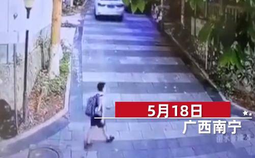 小区：被大黑狗追赶扑倒，狗主人被罚50元，10岁男孩放学回家刚进小区