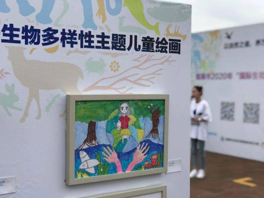 多彩生命守护生态安全屏障盘龙区开展2020年国际生物多样性日主题宣传