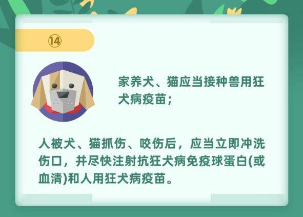 猫咪怎么样会携带狂犬病毒 35e28811b2d94ef8aa29e4db2a793bc4.jpeg